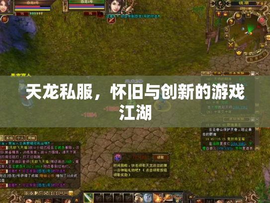 天龙私服，怀旧与创新的游戏江湖