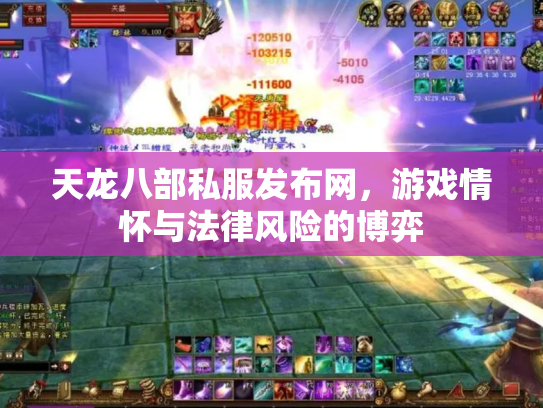 天龙八部私服发布网，游戏情怀与法律风险的博弈