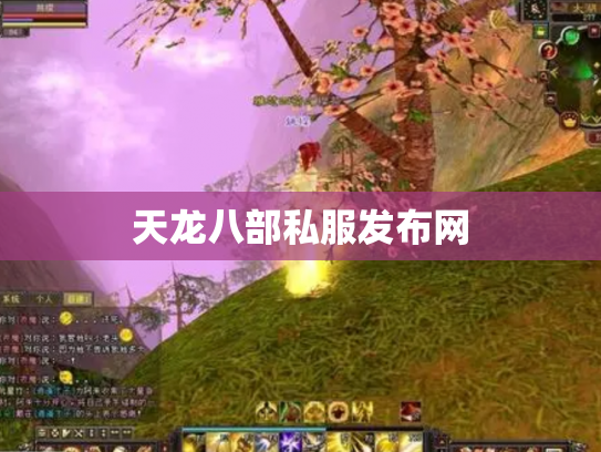 天龙八部私服发布网