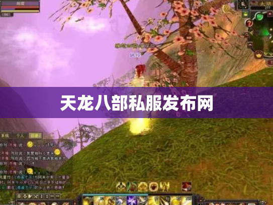 天龙八部私服发布网