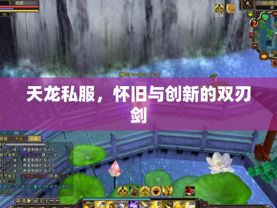 天龙私服，怀旧与创新的双刃剑