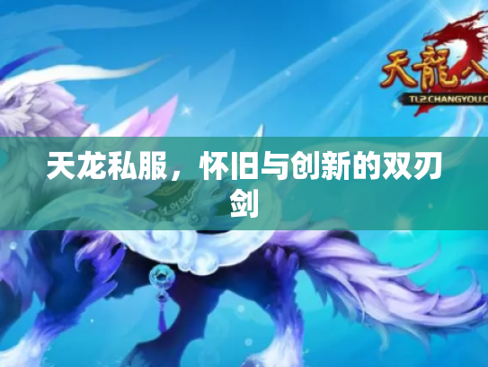 天龙私服，怀旧与创新的双刃剑