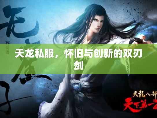 天龙私服，怀旧与创新的双刃剑