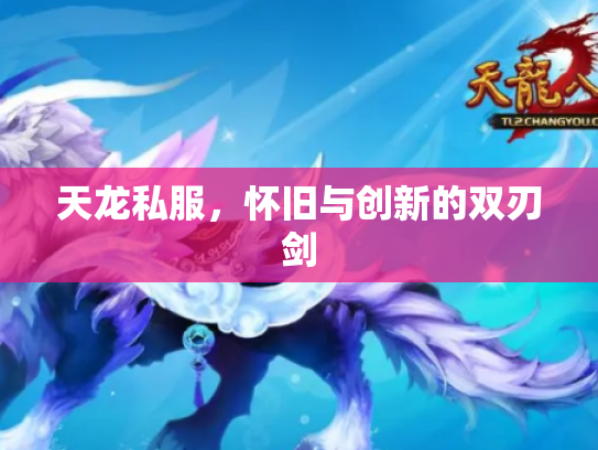 天龙私服，怀旧与创新的双刃剑