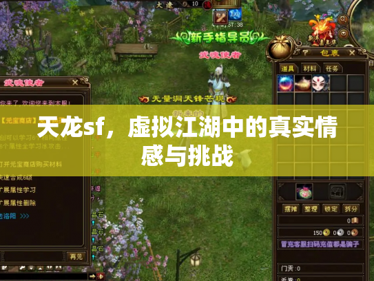 天龙sf，虚拟江湖中的真实情感与挑战