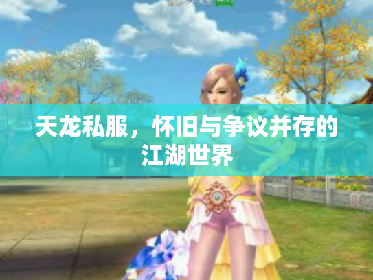 天龙私服，怀旧与争议并存的江湖世界