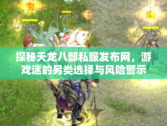 探秘天龙八部私服发布网，游戏迷的另类选择与风险警示