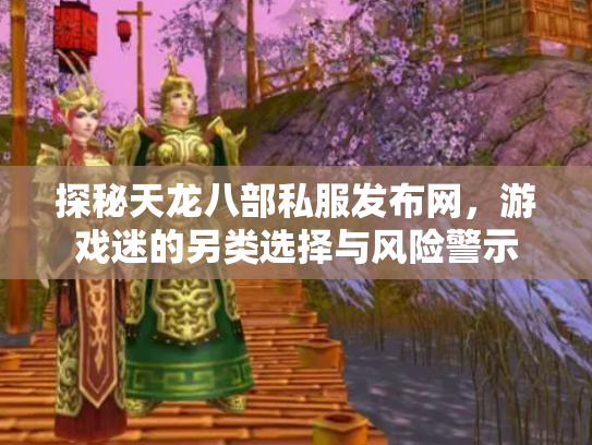 探秘天龙八部私服发布网，游戏迷的另类选择与风险警示