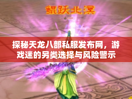 探秘天龙八部私服发布网，游戏迷的另类选择与风险警示