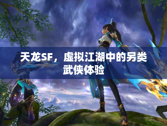 天龙SF，虚拟江湖中的另类武侠体验