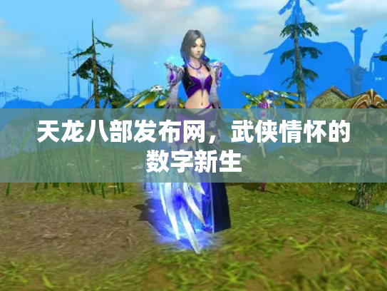 天龙八部发布网，武侠情怀的数字新生