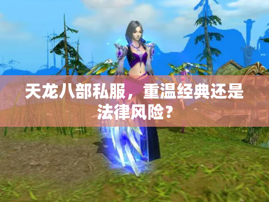 天龙八部私服，重温经典还是法律风险？