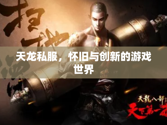 天龙私服，怀旧与创新的游戏世界