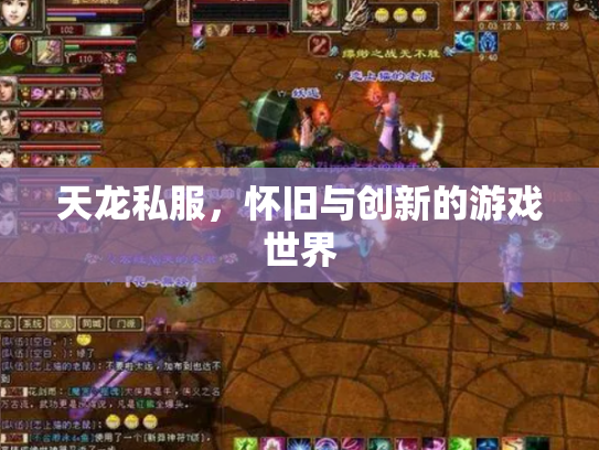 天龙私服，怀旧与创新的游戏世界