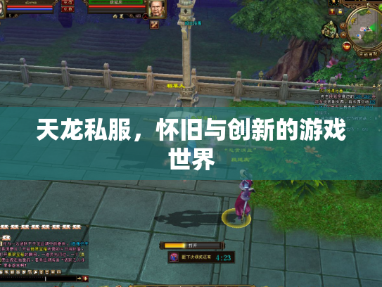 天龙私服，怀旧与创新的游戏世界