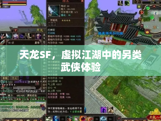 天龙SF，虚拟江湖中的另类武侠体验