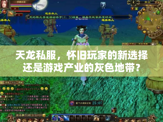 天龙私服，怀旧玩家的新选择还是游戏产业的灰色地带？