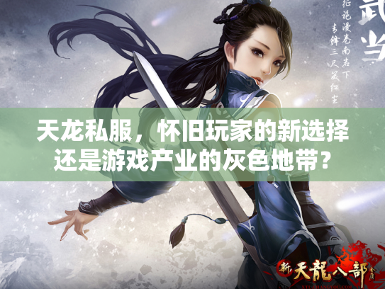天龙私服，怀旧玩家的新选择还是游戏产业的灰色地带？