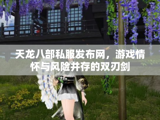 天龙八部私服发布网，游戏情怀与风险并存的双刃剑