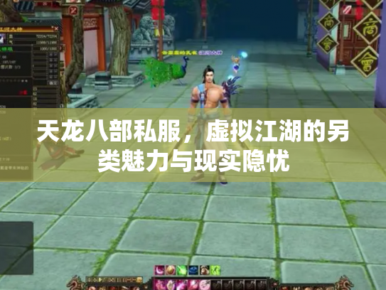 天龙八部私服，虚拟江湖的另类魅力与现实隐忧