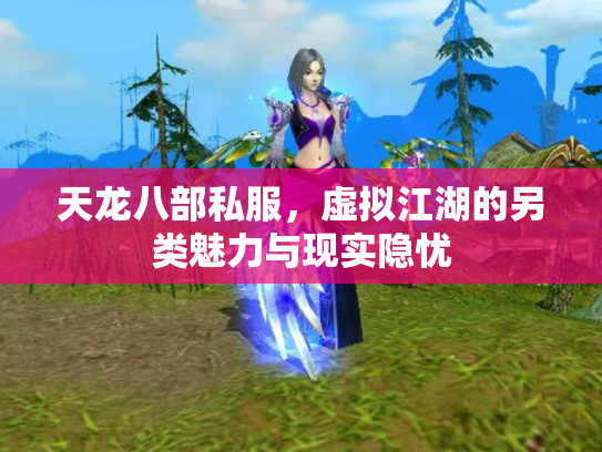 天龙八部私服，虚拟江湖的另类魅力与现实隐忧