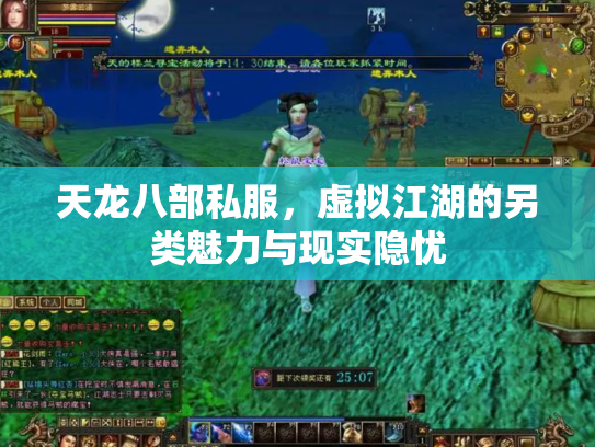 天龙八部私服，虚拟江湖的另类魅力与现实隐忧