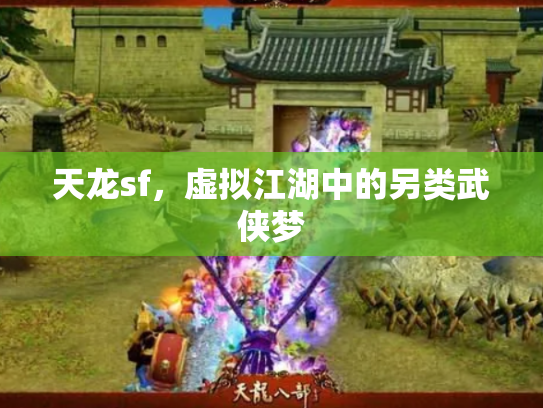 天龙sf，虚拟江湖中的另类武侠梦