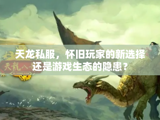 天龙私服，怀旧玩家的新选择还是游戏生态的隐患？