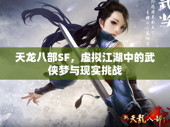 天龙八部SF，虚拟江湖中的武侠梦与现实挑战