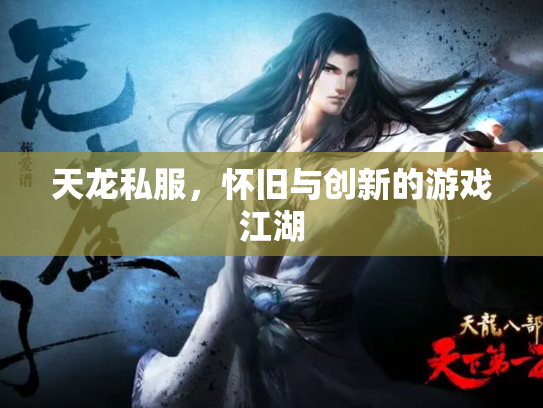 天龙私服，怀旧与创新的游戏江湖
