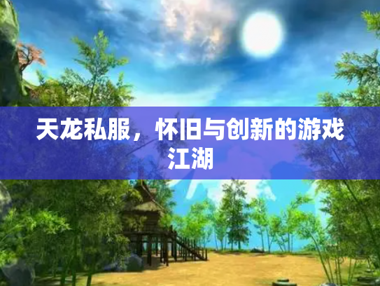 天龙私服，怀旧与创新的游戏江湖
