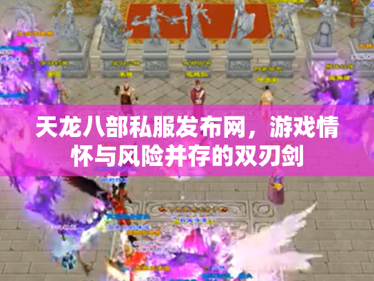 天龙八部私服发布网，游戏情怀与风险并存的双刃剑