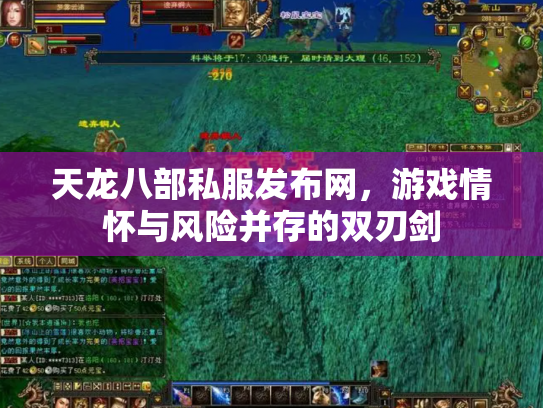 天龙八部私服发布网，游戏情怀与风险并存的双刃剑
