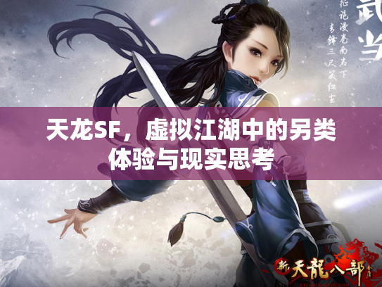 天龙SF，虚拟江湖中的另类体验与现实思考