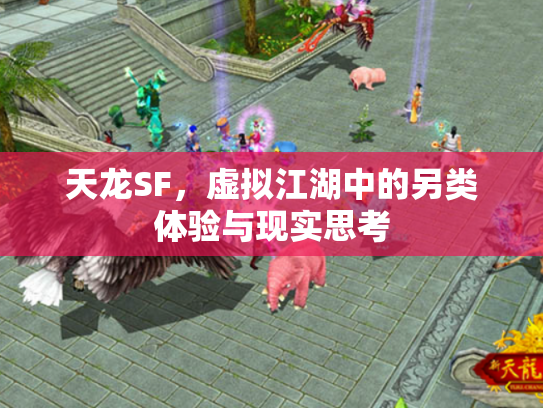 天龙SF，虚拟江湖中的另类体验与现实思考