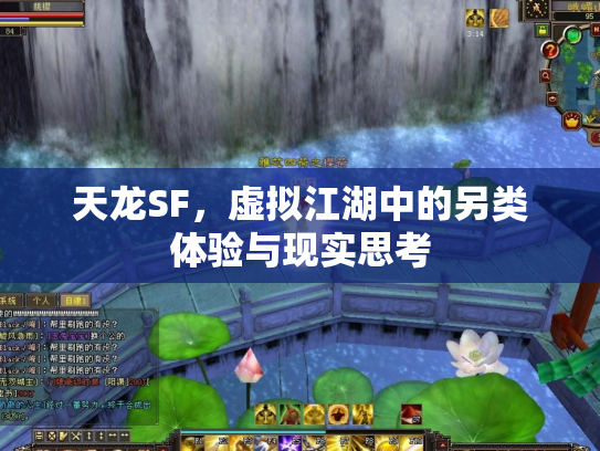 天龙SF，虚拟江湖中的另类体验与现实思考