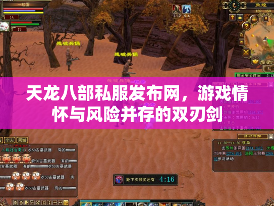 天龙八部私服发布网，游戏情怀与风险并存的双刃剑