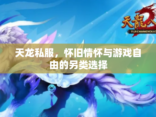 天龙私服，怀旧情怀与游戏自由的另类选择