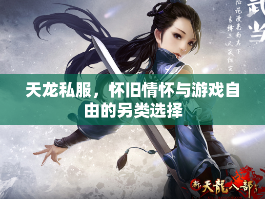 天龙私服，怀旧情怀与游戏自由的另类选择