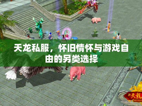 天龙私服，怀旧情怀与游戏自由的另类选择