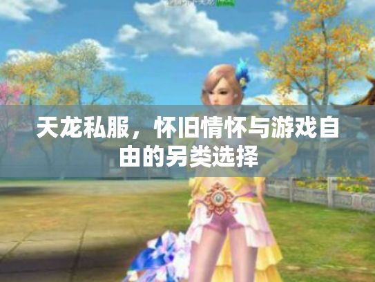 天龙私服，怀旧情怀与游戏自由的另类选择
