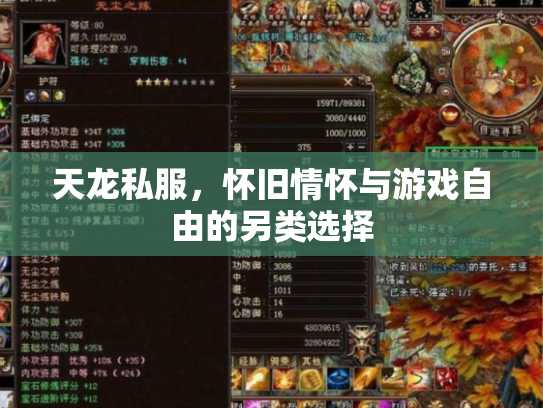 天龙私服，怀旧情怀与游戏自由的另类选择