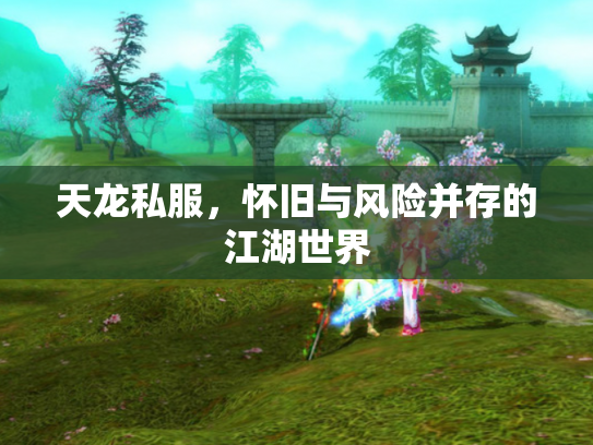 天龙私服，怀旧与风险并存的江湖世界