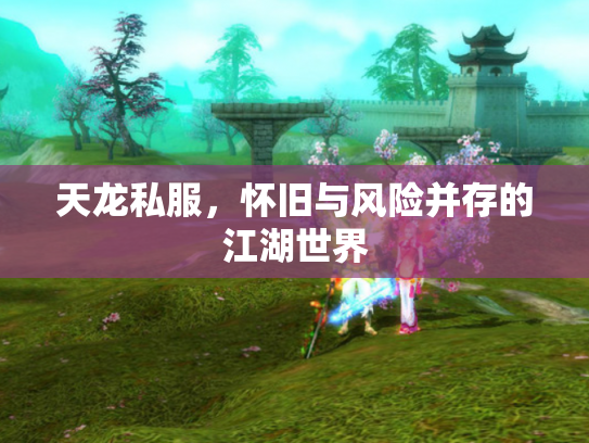 天龙私服，怀旧与风险并存的江湖世界
