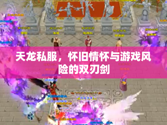 天龙私服，怀旧情怀与游戏风险的双刃剑