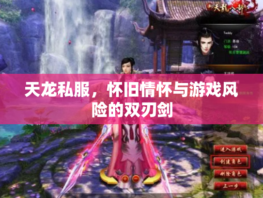 天龙私服，怀旧情怀与游戏风险的双刃剑
