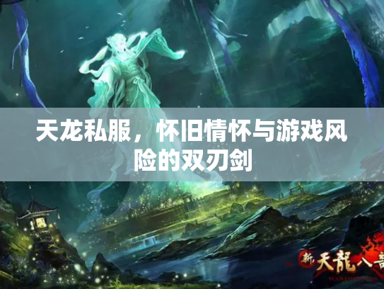 天龙私服，怀旧情怀与游戏风险的双刃剑