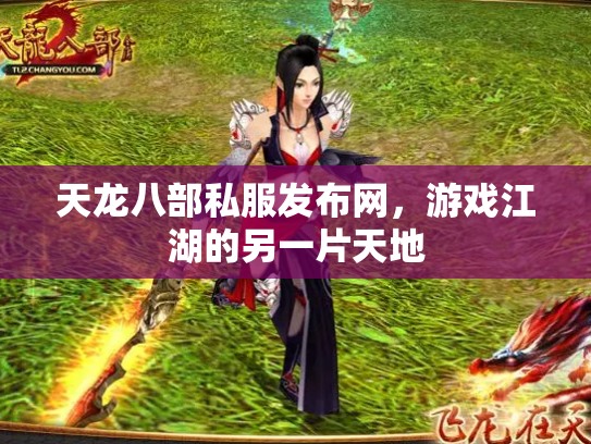 天龙八部私服发布网，游戏江湖的另一片天地
