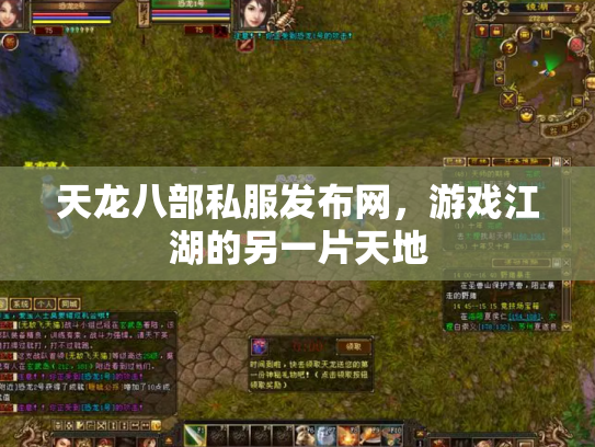 天龙八部私服发布网，游戏江湖的另一片天地