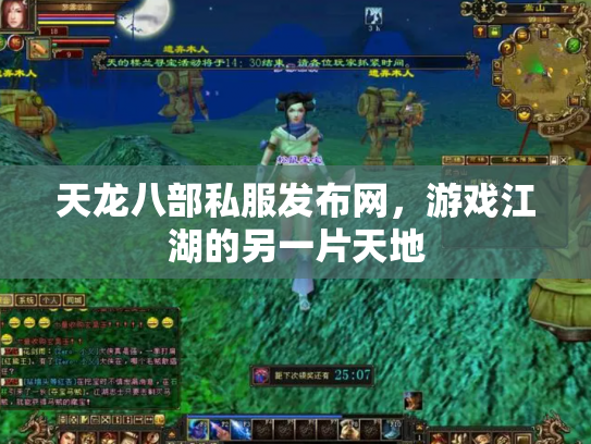 天龙八部私服发布网，游戏江湖的另一片天地